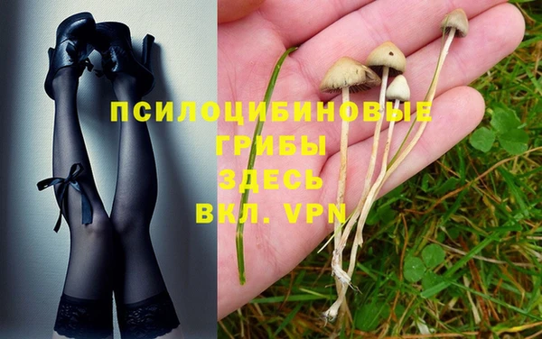 МДПВ Костерёво