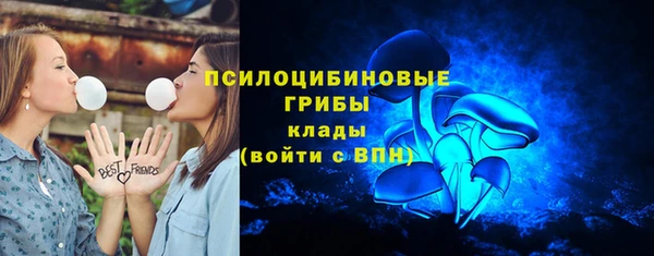 не бодяженный Коряжма