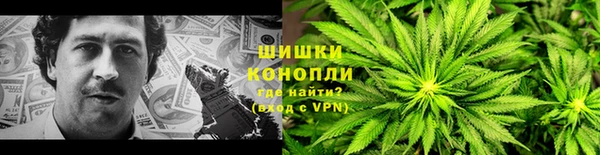 МДПВ Костерёво