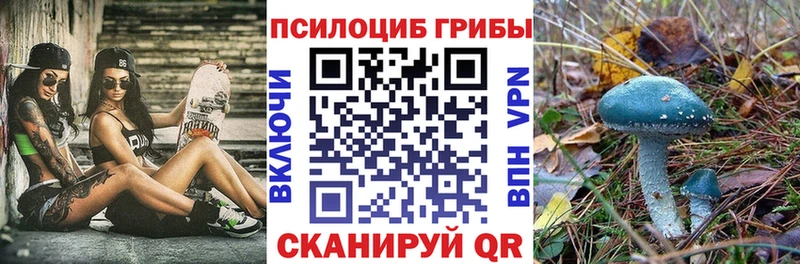 Галлюциногенные грибы мицелий  закладка  Прокопьевск 