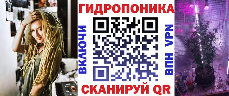 Конопля план Прокопьевск